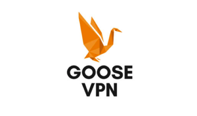 goose vpn goose vpn